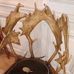 Photo n° 8 de l'avis de Chris. fait le 01/03/2024 à 17:30 pour Musée de la Chasse et de la Nature à Paris