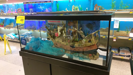 Pet Supply Store «PetSmart», reviews and photos, 2255 Pine Ridge Rd, Naples, FL 34109, USA