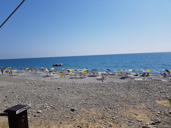 Sheksna beach