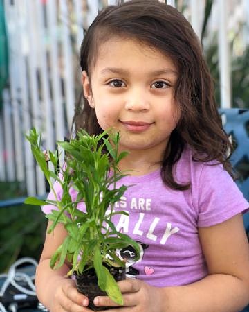 Day Care Center «Penny & Peggy Nairn 24 Hour Childcare, Inc», reviews and photos, 9213 N Columbus Ave, North Hills, CA 91343, USA