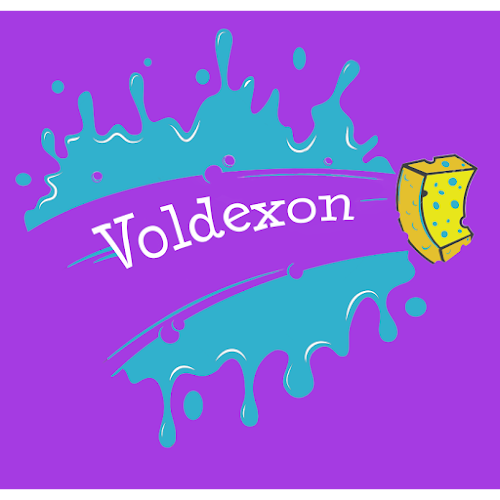 Voldexon SRL - <nil>