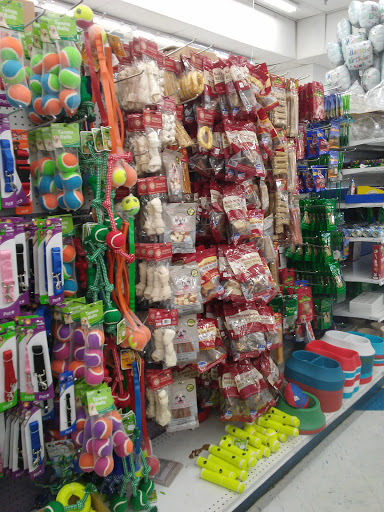 Discount Store «99 Cents Only Stores», reviews and photos, 1720 E Colorado Blvd, Pasadena, CA 91106, USA