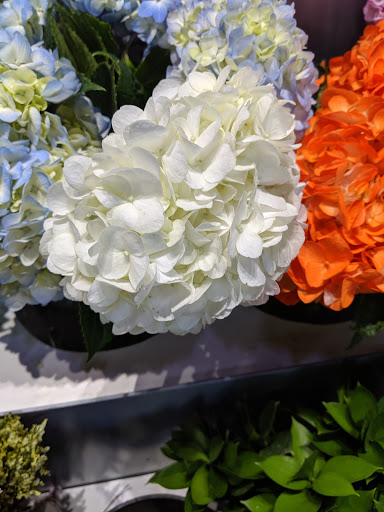 Florist «Flowers and Services», reviews and photos, 13750 Biscayne Blvd, North Miami Beach, FL 33181, USA