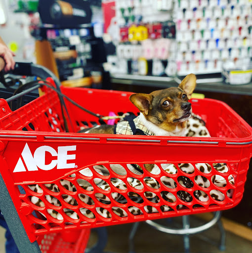 Hardware Store «Evergreen Park Ace Hardware», reviews and photos, 3404 95th St, Evergreen Park, IL 60805, USA