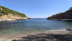Plage de la Calanque des Figuieres'in fotoğrafı dağlarla çevrili
