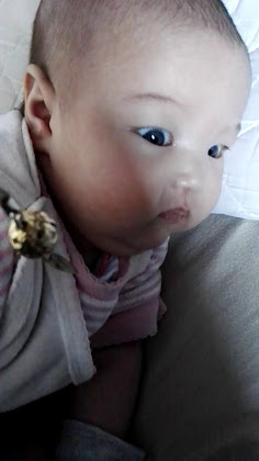 Vidéos hôtels Landhaus Sandbrinkerheide 49811 Lingen