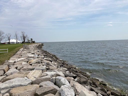 Boat Tour Agency «Patriot Cruises», reviews and photos, 213 N Talbot St, St Michaels, MD 21663, USA