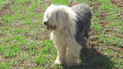 Parque – Parque Tormentas. Marchamalo. Guadalajara. España. – Marchamalo