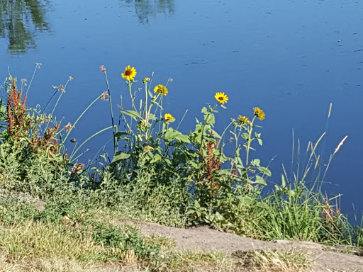 Park «Expo Park», reviews and photos, 10955 E Exposition Ave, Aurora, CO 80012, USA