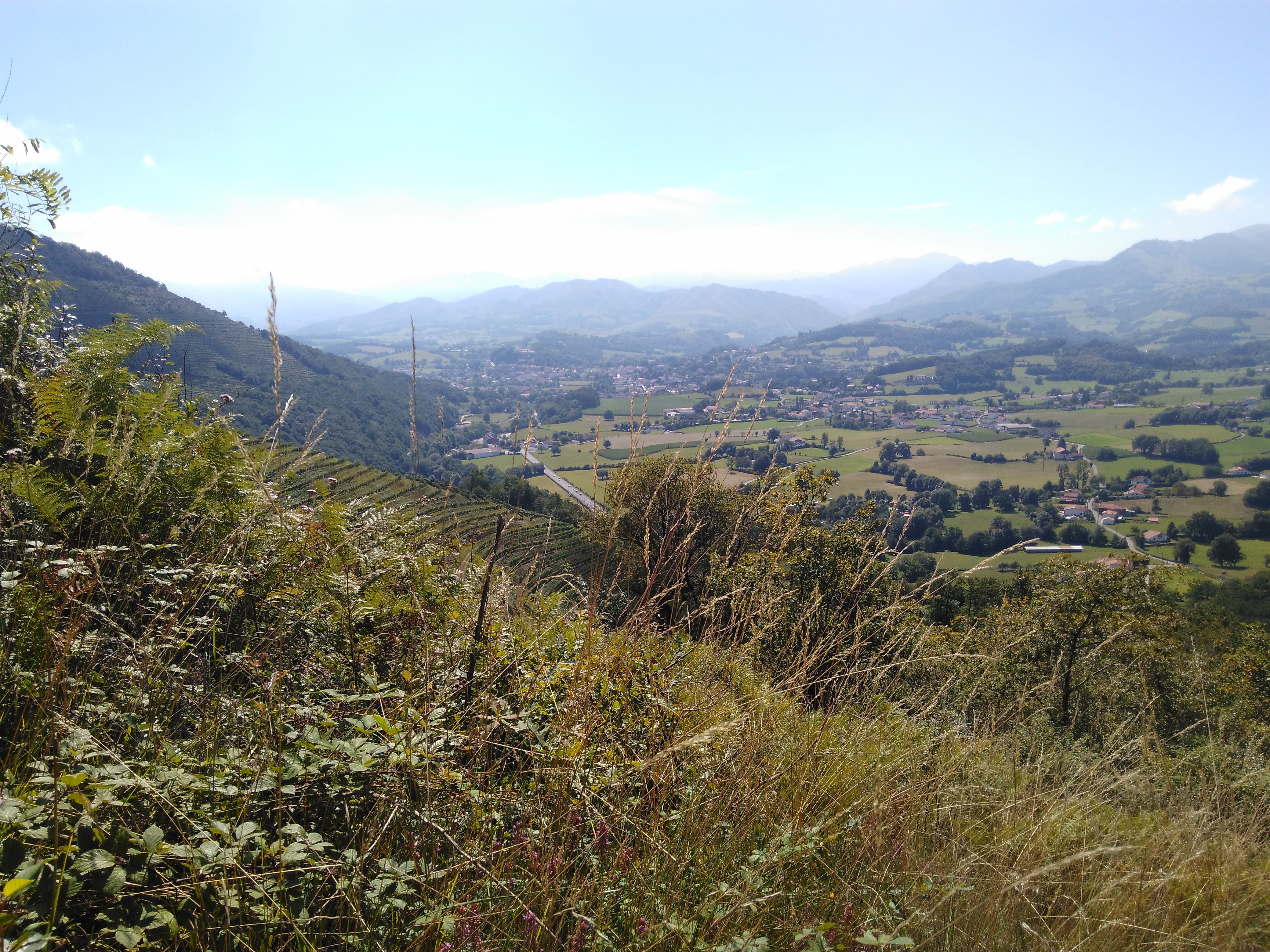 Photo n° 4 de l'avis de Aly.a fait le 21/08/2017 à 19:48