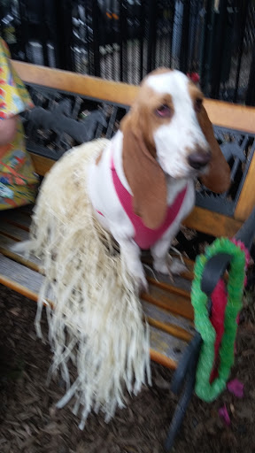 Pet Supply Store «The Hungry Puppy», reviews and photos, 1288 NJ-33, Farmingdale, NJ 07727, USA