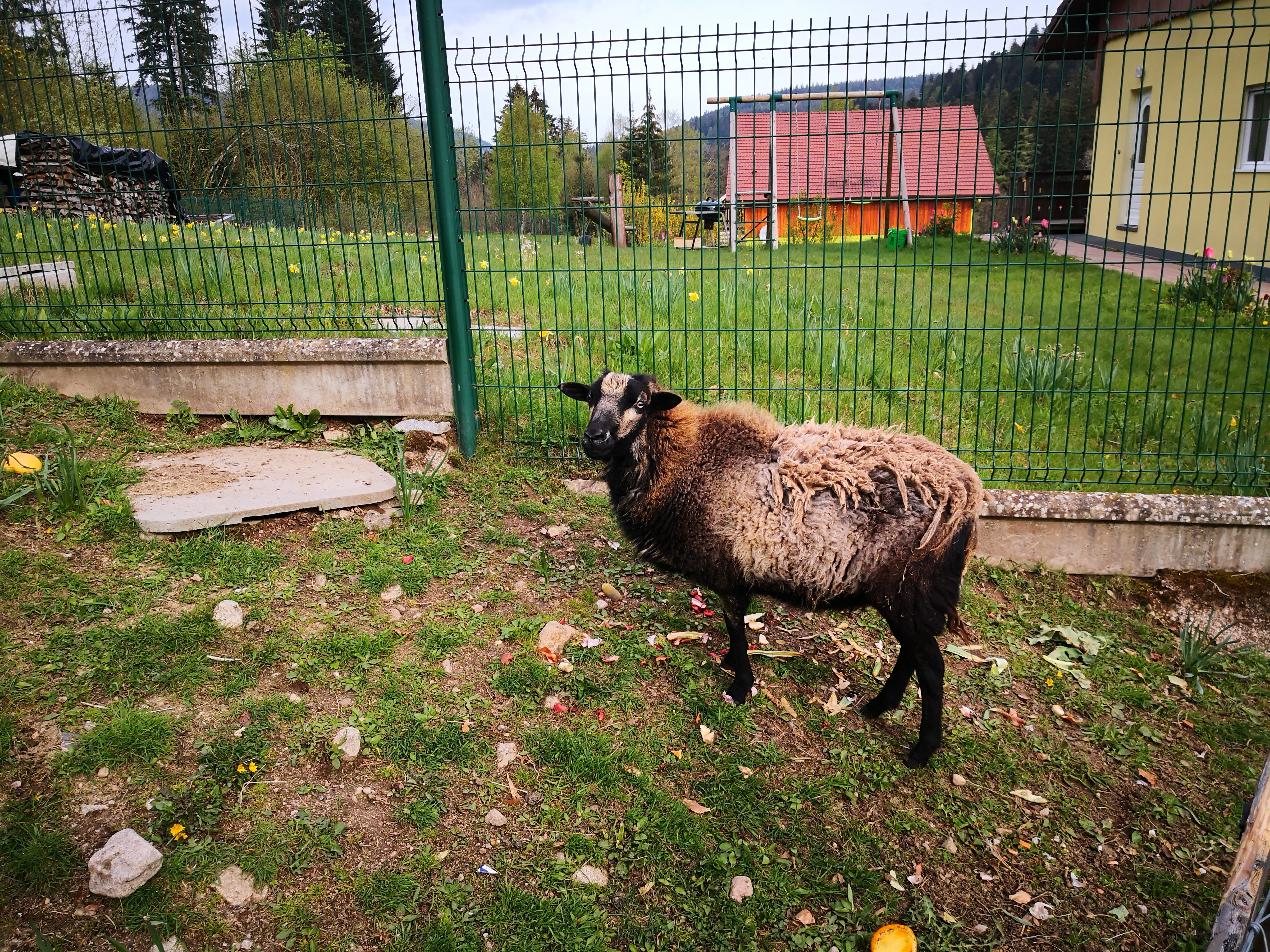 Photo n° 1 de l'avis de Stéphane.a fait le 07/05/2019 à 16:30