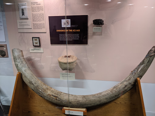 Performing Arts Theater «Collins Center for the Arts», reviews and photos, 2 Flagstaff Rd, Orono, ME 04473, USA