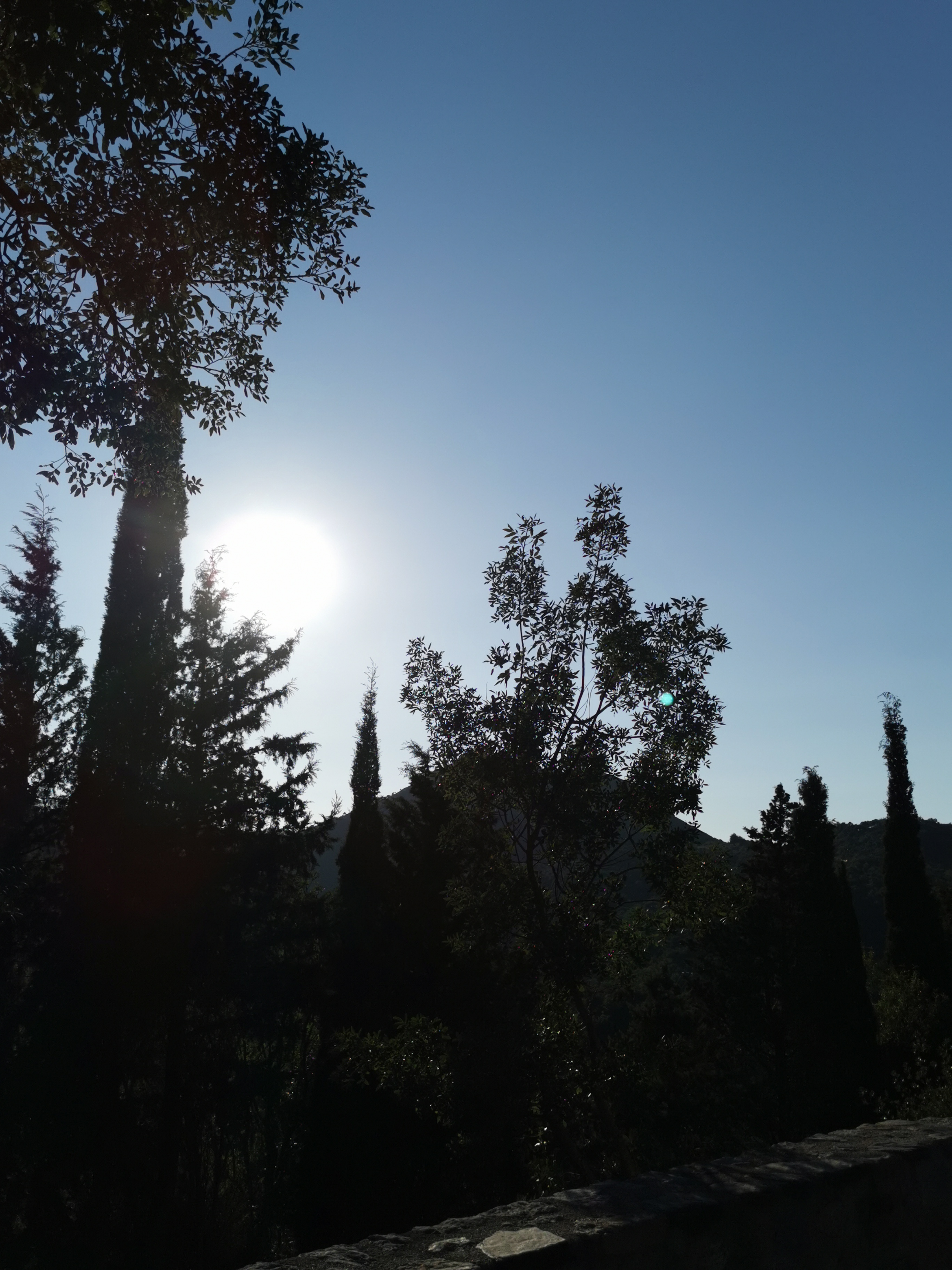 Photo n° 2 de l'avis de Hélèna.u fait le 21/08/2021 à 18:00
