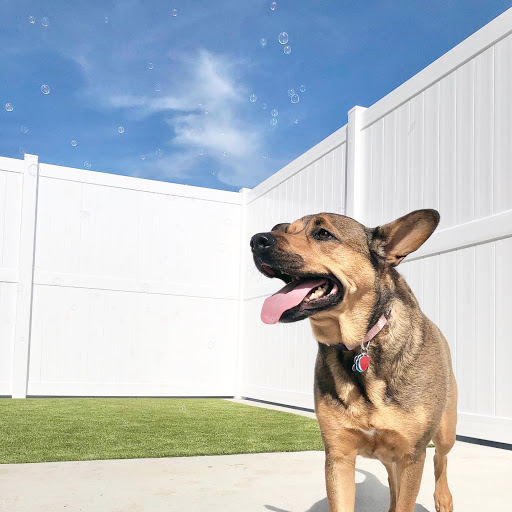 Red Dog Pet Resort & Spa Cincinnati