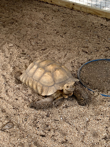 Tourist Attraction «Lucky Ladd Farms», reviews and photos, 4374 Rocky Glade Rd, Eagleville, TN 37060, USA