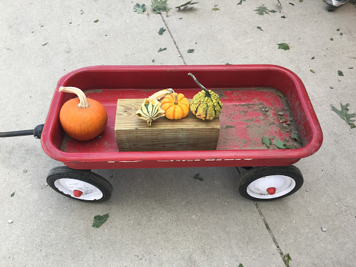 Orchard «Curtis Orchard & Pumpkin Patch», reviews and photos, 3902 S Duncan Rd, Champaign, IL 61822, USA