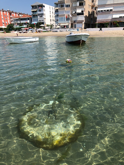 AE Denizcilik Kulübü