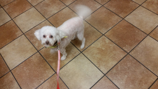 Pet Supply Store «PetSmart», reviews and photos, 1131 Sanguinetti Rd, Sonora, CA 95370, USA