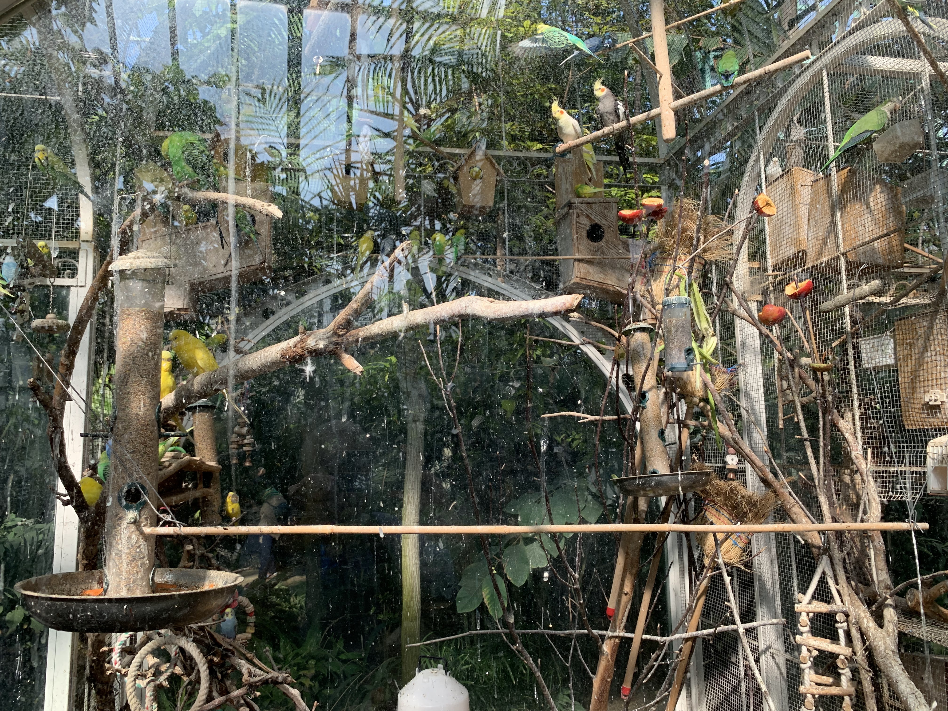 Photo n° 31 de l'avis de Huynh.h fait le 22/03/2019 à 19:10