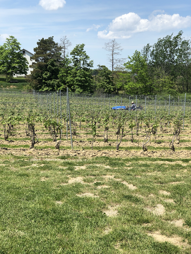 Winery «M Cellars», reviews and photos, 6193 S River Rd W, Geneva, OH 44041, USA