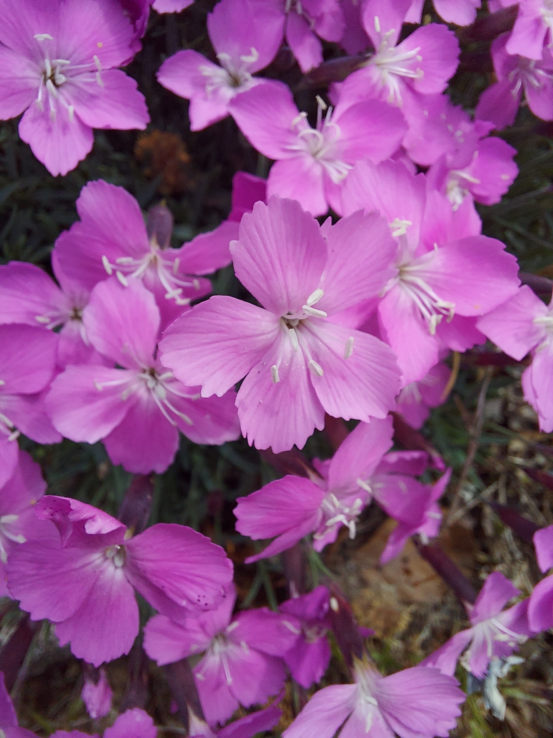 Photo n° 6 de l'avis de Quentin.r fait le 27/06/2023 à 17:39