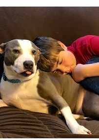 Bailey's Buddies Pet Sitting Services - Car repair in Conroe, TX, The Woodlands - Rated 4.8/5