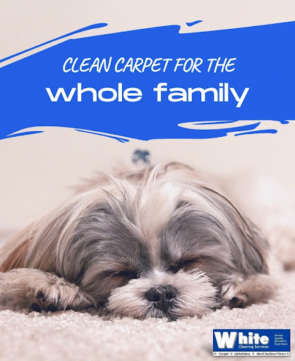 Carpet Cleaning Service «White Cleaning Services», reviews and photos, 17837 1st Avenue South, Normandy Park, WA 98148, USA