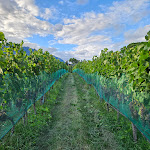 Photo n°2 de l'avis de Rachele.i fait le 12/08/2023 à 06:53 sur le  Castel Pienzenau à Merano