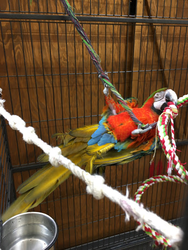 Pet Store «Lost Realms Pets», reviews and photos, 8059 N Cedar Ave, Fresno, CA 93720, USA