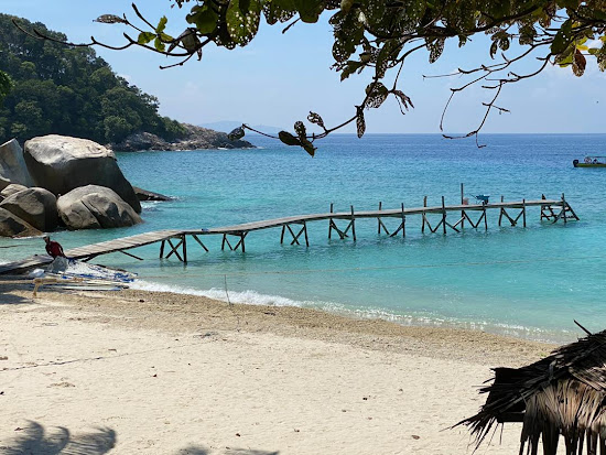 D'Coconut Lagoon
