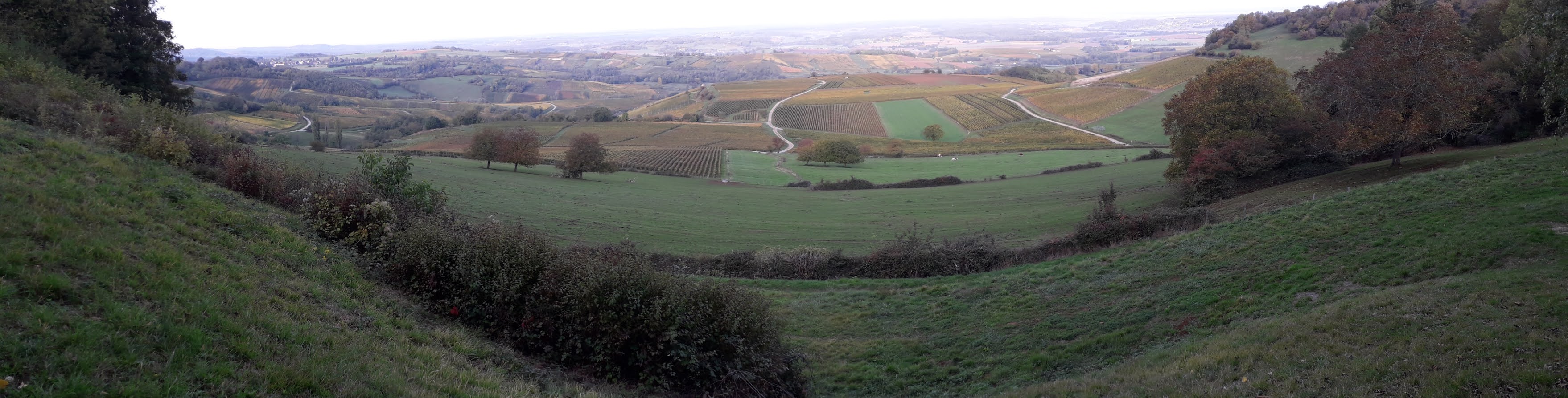 Photo n° 2 de l'avis de Jipe.e fait le 24/10/2020 à 17:15