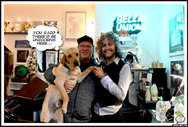 Comments and reviews of Bella Union Vinyl Shop