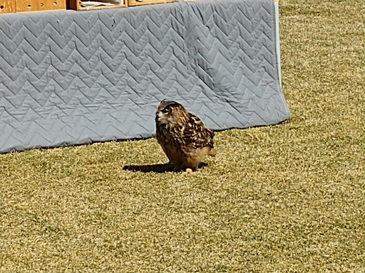 Nature Preserve «Grace Farms», reviews and photos, 365 Lukes Wood Rd, New Canaan, CT 06840, USA