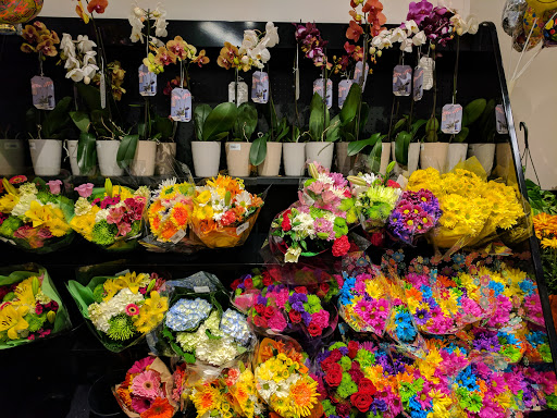 Grocery Store «Food Lion», reviews and photos, 16615 Mountain Rd, Montpelier, VA 23192, USA