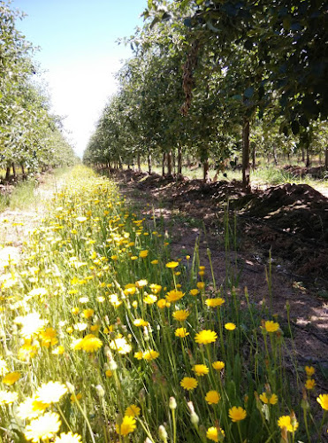 agricola solban - San Fernando