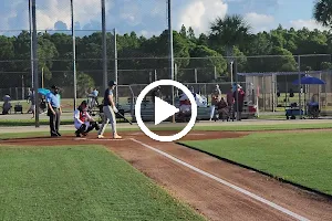 Cardinal Fields at Roger Dean Stadium image