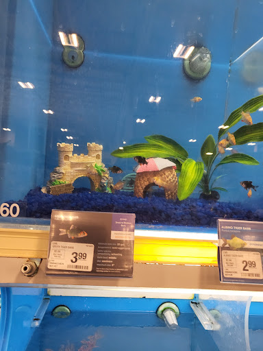 Pet Supply Store «PetSmart», reviews and photos, 1160 Stafford Market Pl, Stafford, VA 22556, USA