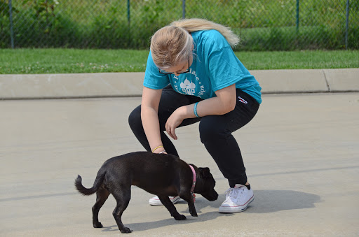 Pet Boarding Service «Pet Palace», reviews and photos, 2803 Trough Springs Rd, Clarksville, TN 37043, USA