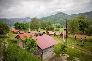 Camp Scepanovic image