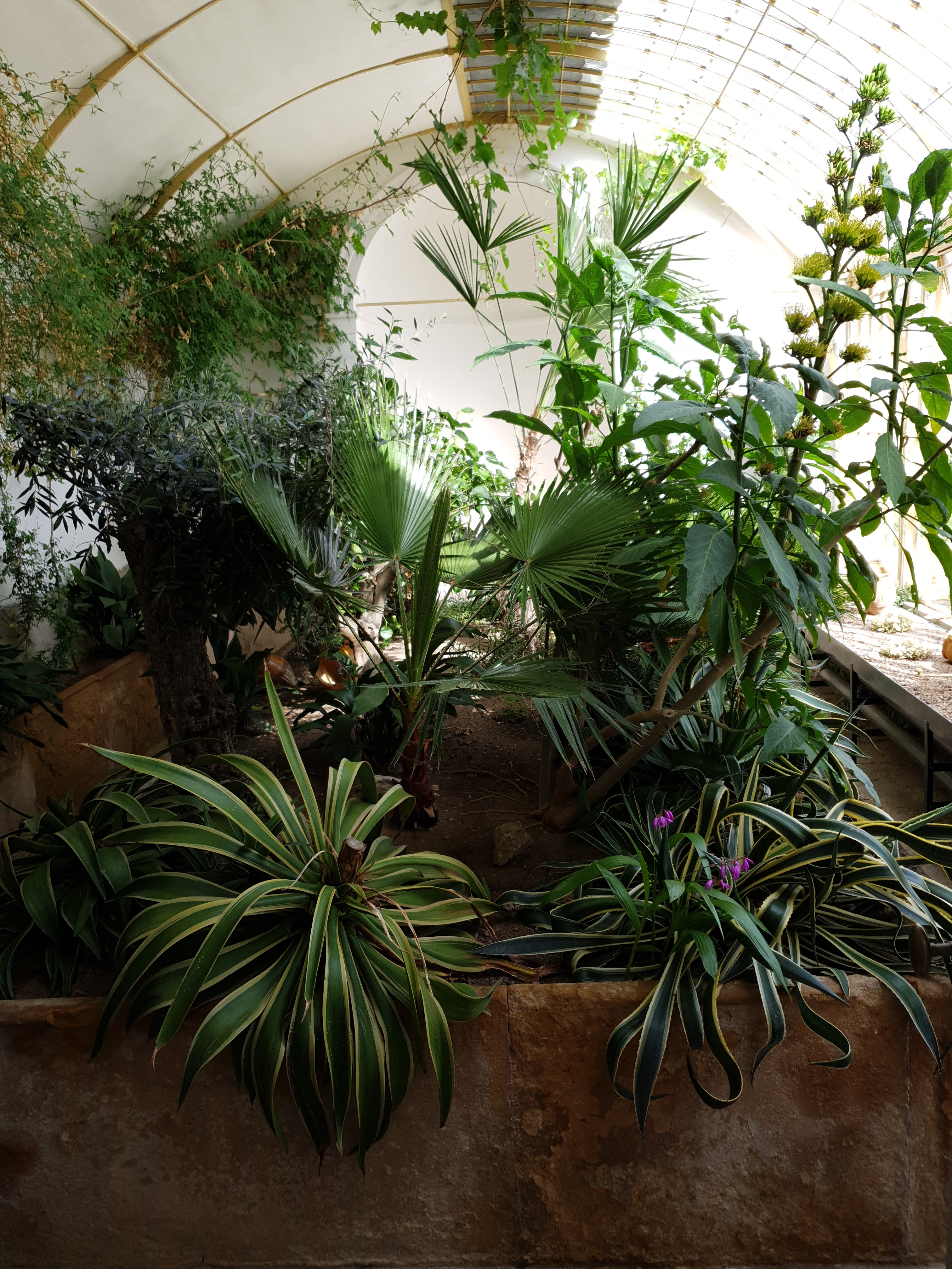 Photo n° 2 de l'avis de Loic.a fait le 22/04/2019 à 15:46