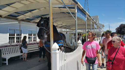 Furniture Store «Shipshewana Furniture Co.», reviews and photos, 130 E Middlebury St, Shipshewana, IN 46565, USA