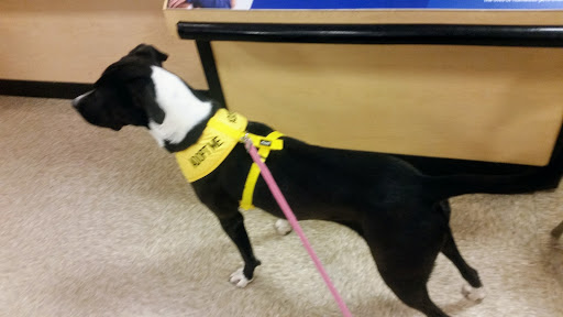 Pet Supply Store «PetSmart», reviews and photos, 1921 Gulf Fwy S, Dickinson, TX 77539, USA