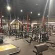 Warrior Warehouse Fitness and Obstacle Training Center