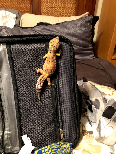 Pet Supply Store «Pet Bazaar», reviews and photos, 490 FL-436, Casselberry, FL 32707, USA