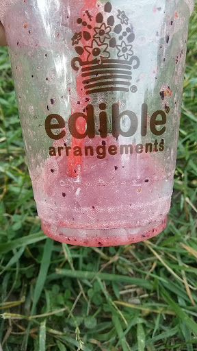 Gift Shop «Edible Arrangements», reviews and photos, 3059 Graham Rd, Stow, OH 44224, USA