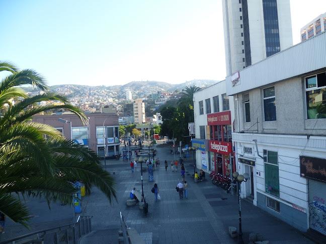 Opiniones de Telepizza Sucursal Bellavista en Valparaíso - Pizzeria