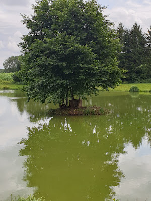 Apl De Roppentzwiller à Roppentzwiller