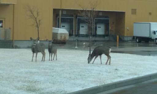 Real Estate Agency «MediaOne Real Estate», reviews and photos, 4770 5600 W, West Valley City, UT 84118, USA