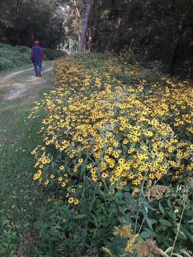 Nature Preserve «Rudy Kraemer Nature Preserve», reviews and photos, 12799 Chowen Ave S, Burnsville, MN 55337, USA
